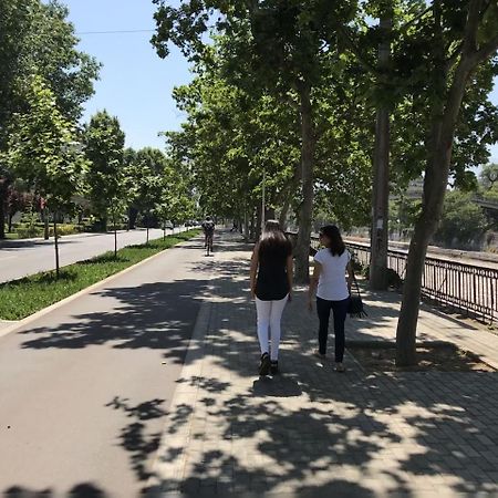Departamento De Lujo 1 En Barrio Bellavista Daire Santiago Dış mekan fotoğraf