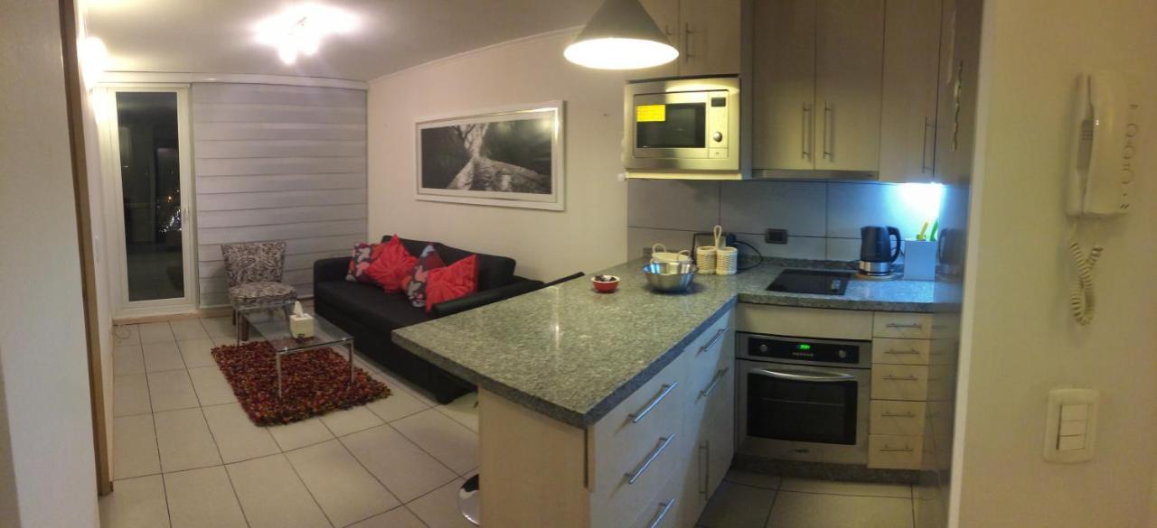 Departamento De Lujo 1 En Barrio Bellavista Daire Santiago Dış mekan fotoğraf